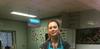 Food lovers will love this new Dukkah range now on sale in Galway mediterranean food galway daily dukkah