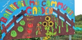 Applications open for city council Environmental Partnership fund Galway Daily news 2019 environmental partnership fund