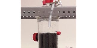 International energy conference pushing a carbon free future at NUIG Galway Daily news Carbon free energy industry conference NUIG