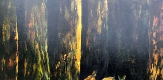 Graduating GMIT artists show their talent in Metamorphosis exhibition Galway Daily arts & culture GMIT graduating artists Metamorphosis exhibition