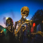 Macnas parade 2019 Danse Macabre by Julia Dunin Photography-49