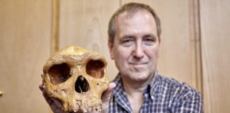 International expert on neanderthals awarded William King Medal at NUIG Ga;way Daily science neanderthals