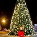Galway Hospice Memorial Tree