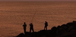 Memo claims Gardai did nothing to stop intimidation of anglers during rod licence protests