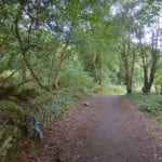 Barna Woods walk trail biodiversity