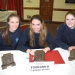 Scoil Chuimsitheach Chiaráin – Sinsear