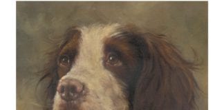 Top Irish artists donate work for MADRA auction Galway Daily news Top Irish artists donate work for MADRA auction