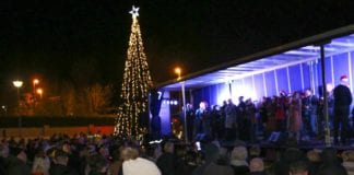 Dáithí Ó Sé joins hundreds at ‘switching on’ of memorial tree at Galway Hospice christmas tree galway hospice galway daily