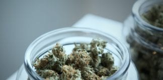 Cannabis dealer spared prison sentence Galway Daily courts Cannabis dealer spared prison sentence