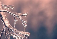 Further freezing temperatures forecast Galway Daily weather weather warning for low temperature and ice