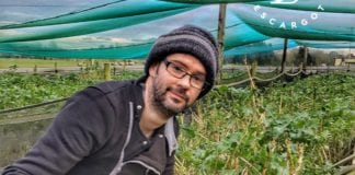 Local snail farmer wins coveted Teagasc award Galway Daily news Local snail farmer nets national prize