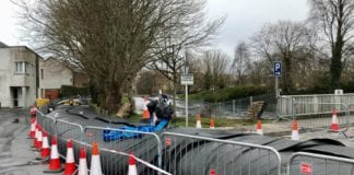 Flood assistance schemes needed as farms and businesses suffer – Naughten Galway Daily news Governent asked to activate flood assistance schemes