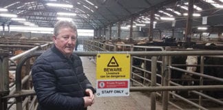 Canney accuses meat factories of “profiteering” off coronavirus crisis Galway Daily news Canney accuses meat factories of "profiteering" off coronavirus crisis