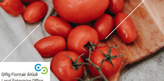Local Enterprise Office hosting free webinar for struggling food businesses Galway Daily business Local Enterprise Office hosting free webinar for struggling food businesses