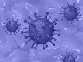covid-19 coronavirus vulnerable groups