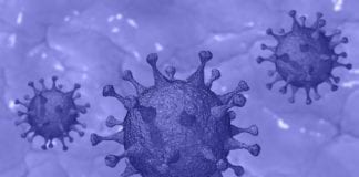 Government urged to protect vulnerable groups during crisis covid-19 coronavirus vulnerable groups