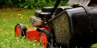 City council issues new rules for gardening in public areas Galway Daily news City council issues new rules for gardening in public areas