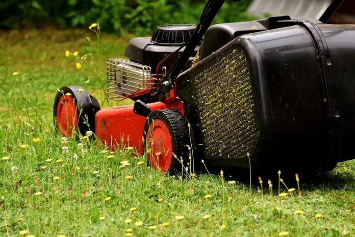 Galway Daily news City council issues new rules for gardening in public areas