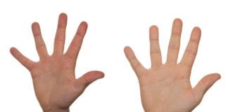 1,917 people in Galway respond to call for community volunteers volunteers galway daily covid-19