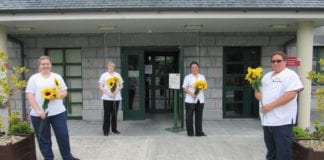 Galway Hospice launches Sunflower Appeal galway daily sunflower appeal