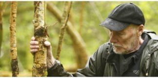 Fascinating film on TG4 tonight at 9.30pm – Tim Robinson: Connemara tg4 film galway daily