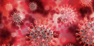 Coronavirus: WHO special envoy to address NUIG event on COVID-19 Galway daily news COVID-19 cases more than double at UHG