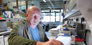 Professor at NUI Galway given highest honour within European life sciences nui galway professor university brian mcstay embo