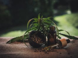 Galway Daily features CBD Oil - What's in the future for this new industry?