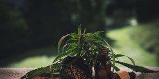 CBD Oil – What’s in the future for this young industry? Galway Daily features CBD Oil - What's in the future for this new industry?