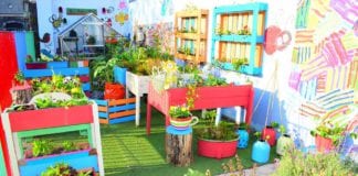 Galway school announced as winner of Big Grow competition galway daily big grow competition st patricks healthy food award