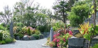 Two city parks awarded Green Flag status in 2020 Galway Daily life & style Two city parks awarded Green Flag status in 2020