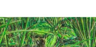 Bury Me With My Money show elegant simplicity with a synthesizer Galway Daily music Bury Me With My Money show you can do simple with a synthesizer