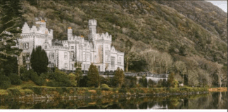 Popular American baking magazine showcases Galway’s culinary scene bake from scratch galway daily galway food in ameican magazine