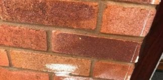 Gangs of dog thieves use chalk to mark potential properties in parts of Galway galway daily dog chalk dog snatchers county galway thieves stolen dogs