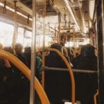 pexels-raphael-brasileiro-2486402