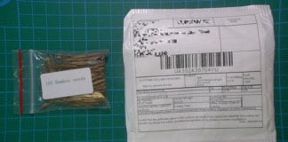 Public warned about receiving weird, unsolicited parcels of seeds in the post galway daily seeds packages parcels ireland brushing scam