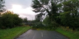 Storm Ellen: Update on road blockages and fallen debris Galway Daily news Storm Ellen: Update on road blockages and fallen debris