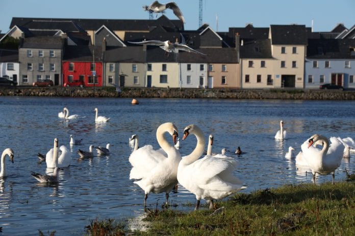 Galway Daily arts Local Community Festivals Grant Scheme