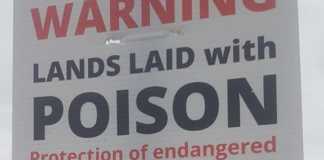 Poster which terrified dog owners yesterday being investigated galway daily news dogs on leash poster sign bogus