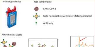 Research team at NUI Galway receives grant to develop rapid Covid-19 test galway daily news covid test
