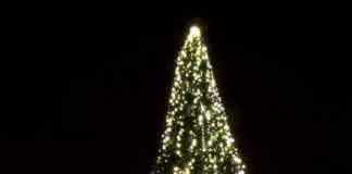 People invited to watch Galway Hospice’s Virtual Tree of Lights Celebration galway daily memorial tree galway hospice