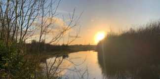 Decision due next week on Gort River Walk plans Galway Daily news Gort wins two awards at 2022 Supervalu Tidy Towns