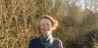 Retired GMIT lecturer receives prestigious French government award Galway Daily news Retired GMIT lecturer receives prestigious French government award