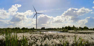 Fresh pot of funding for peatlands conservation and revitalisation Galway Daily news Galway site chosen for €8.5 million rewilding project