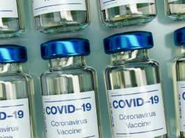 galway daily news Spring vaccination campaign