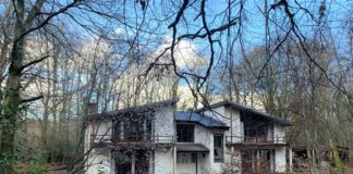 Secluded country house comes with woodland gardens Galway Daily property Secluded country home comes with woodland gardens