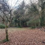 Ballinahalla 10