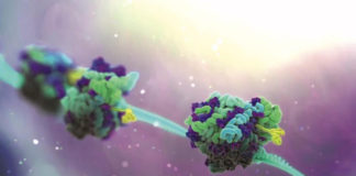 NUIG’s CÚRAM partners with US biotech company on stem cell therapy for COVID-19 patients Galway Daily news NUIG's CÚRAM partners with US biotech company on stem cell therapy for COVID-19 patients