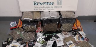 Dog clothes and board games were really drugs bound for Galway Galway Daily news Dog clothes and board games were really drugs bound for Galway