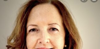 Cllr calls for Galway County Council to oppose LDA Bill galway daily news evelyn parsons lda bill galway county council